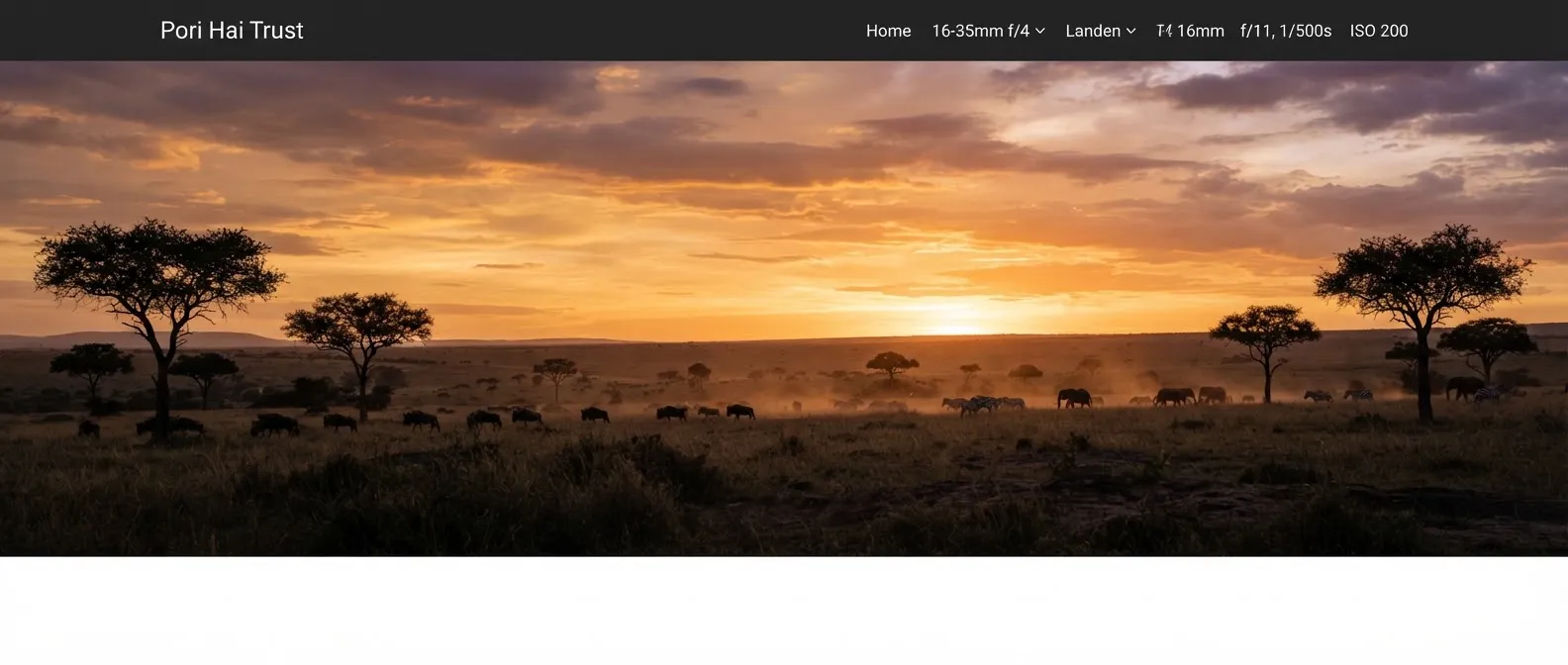 A dramatic panoramic view of the vast Kenyan savannah grassland under warm evening light with acacia trees silhouetted against a golden horizon and subtle dust rising from distant wildlife.